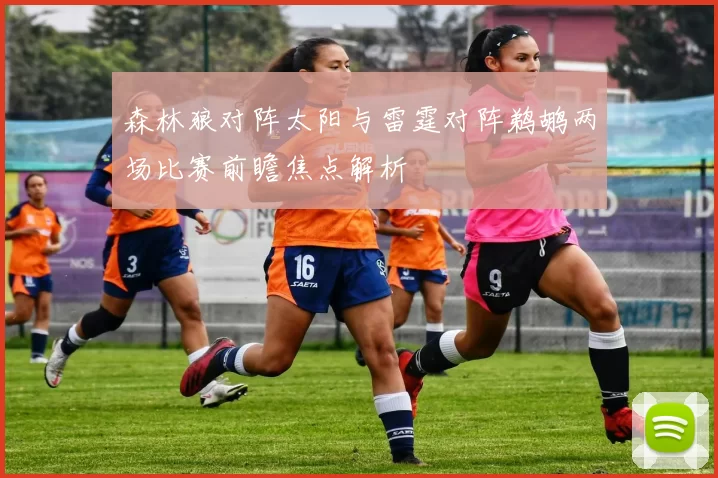 森林狼对阵太阳与雷霆对阵鹈鹕两场比赛前瞻焦点解析