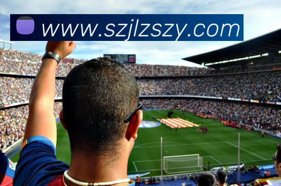 奖项证书